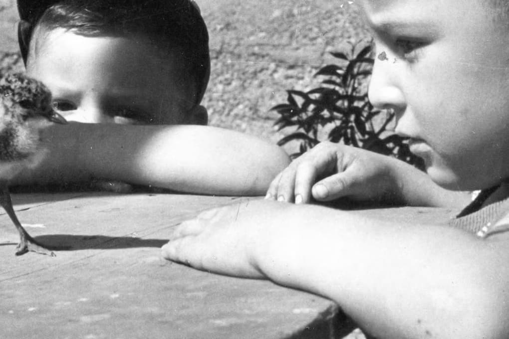 Fotografías
