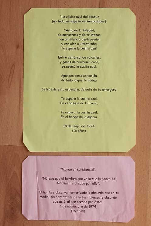 Foto de la galería