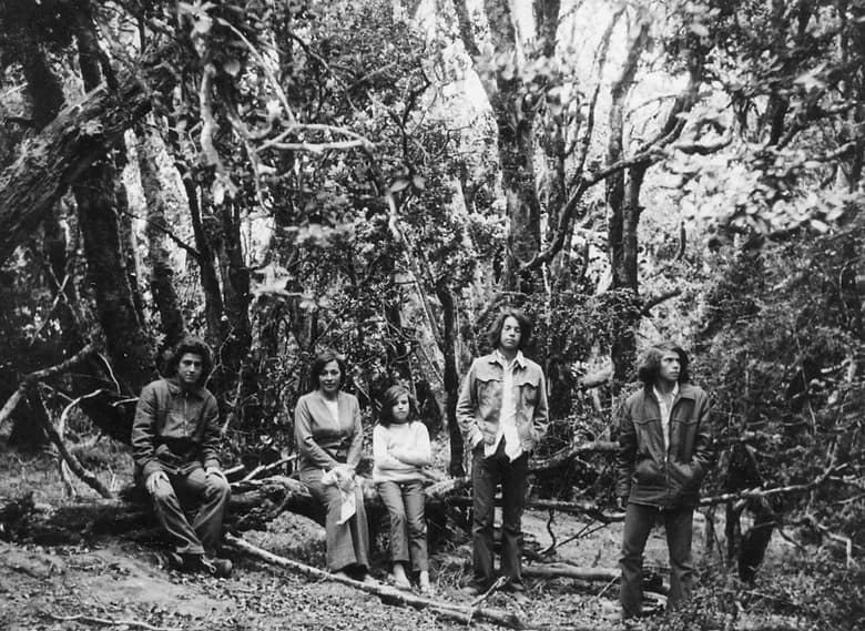 Foto de la galería